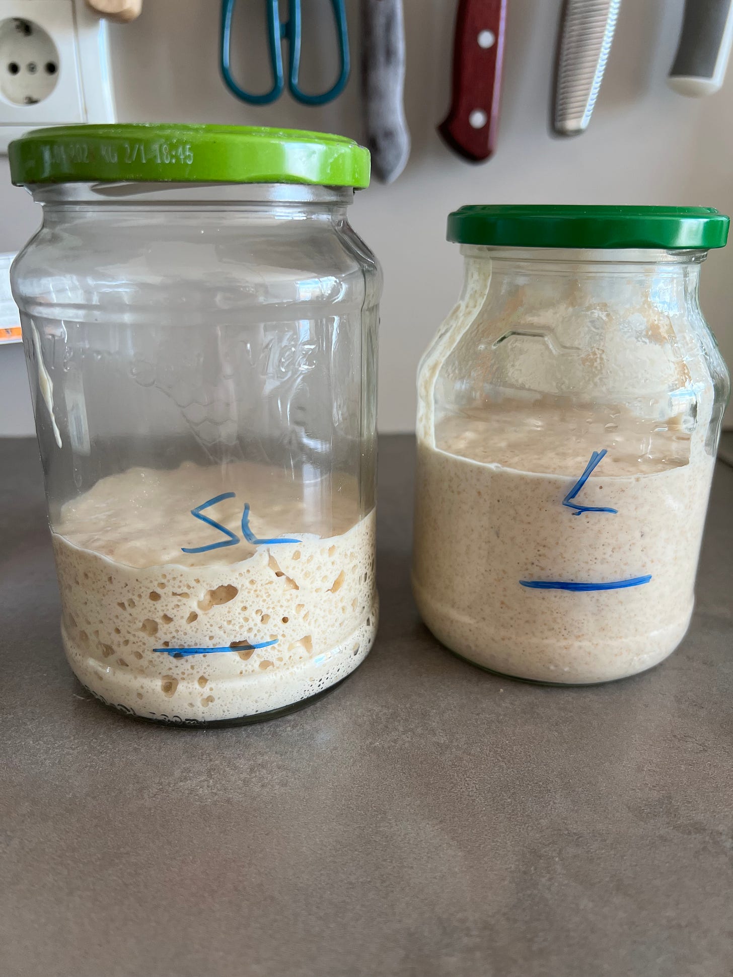 image of sourdough levains