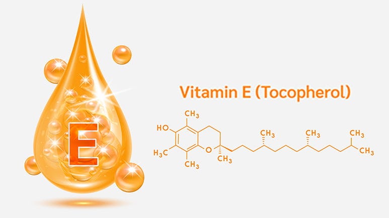 vitamin e atherogenesis endotoxin induced damage