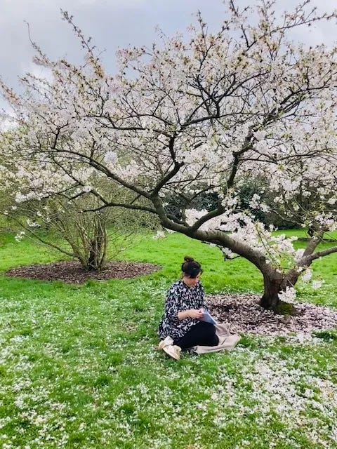 Claire journals under a cherry tree