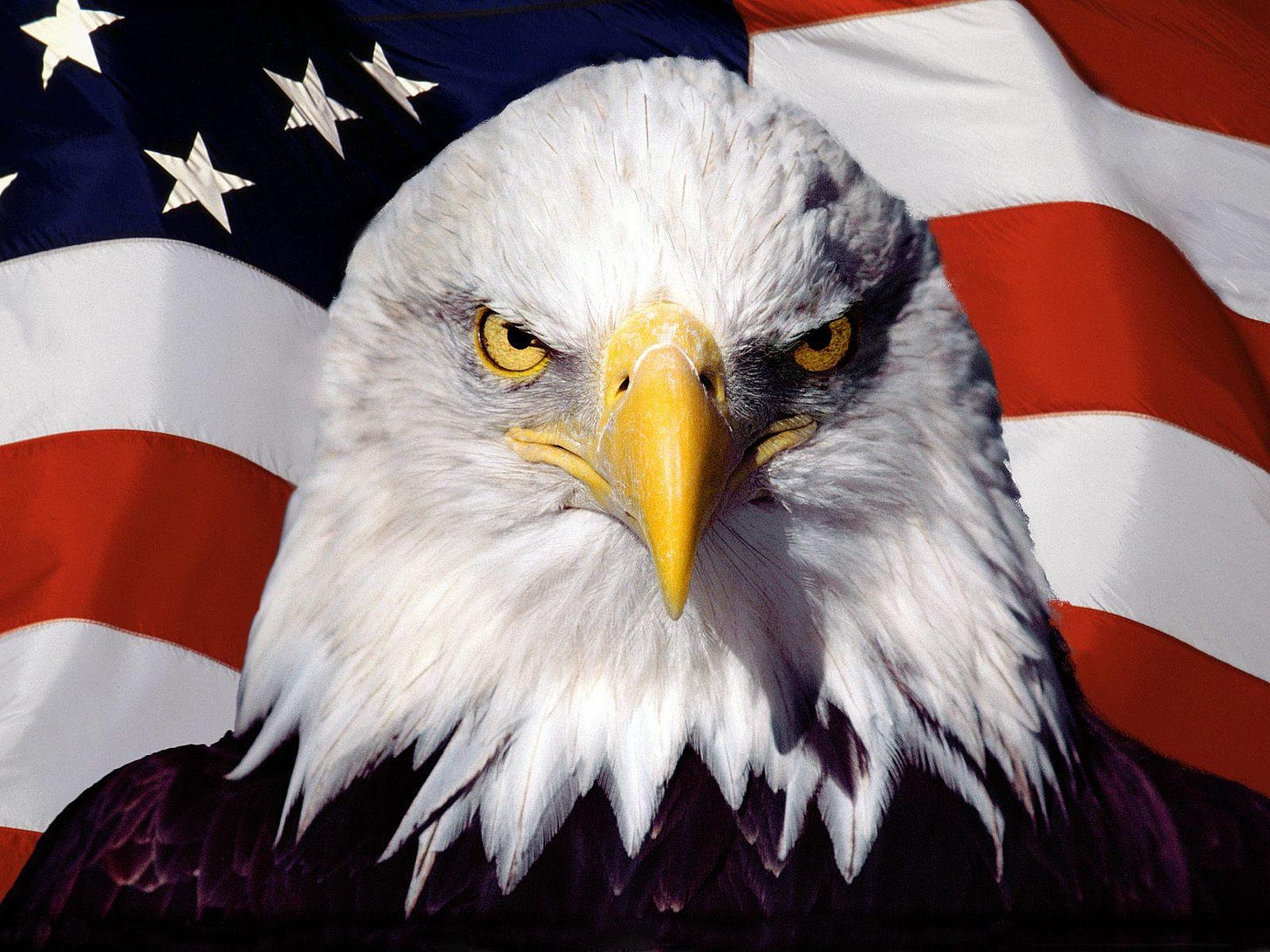 American Flag Eagles Wallpapers - Top Free American Flag Eagles Backgrounds  - WallpaperAccess