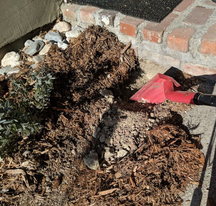 Digging Trench