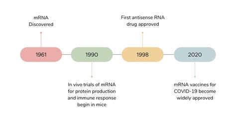 Potent Immune Response with LNP-mRNA | Vernal Biosciences