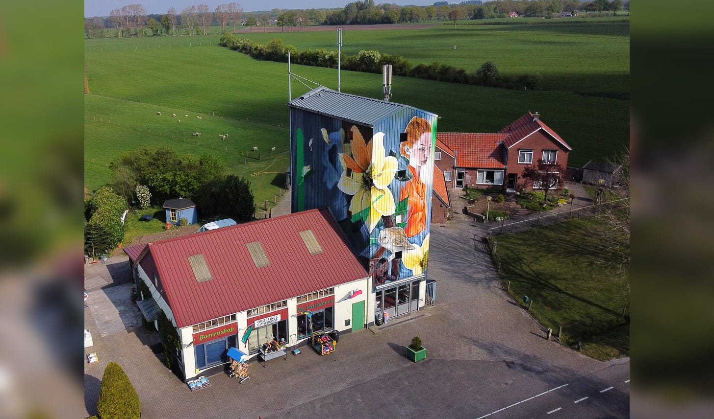 Silo art 'Het Bloemenmeisje' in Beltrum. Foto: PR