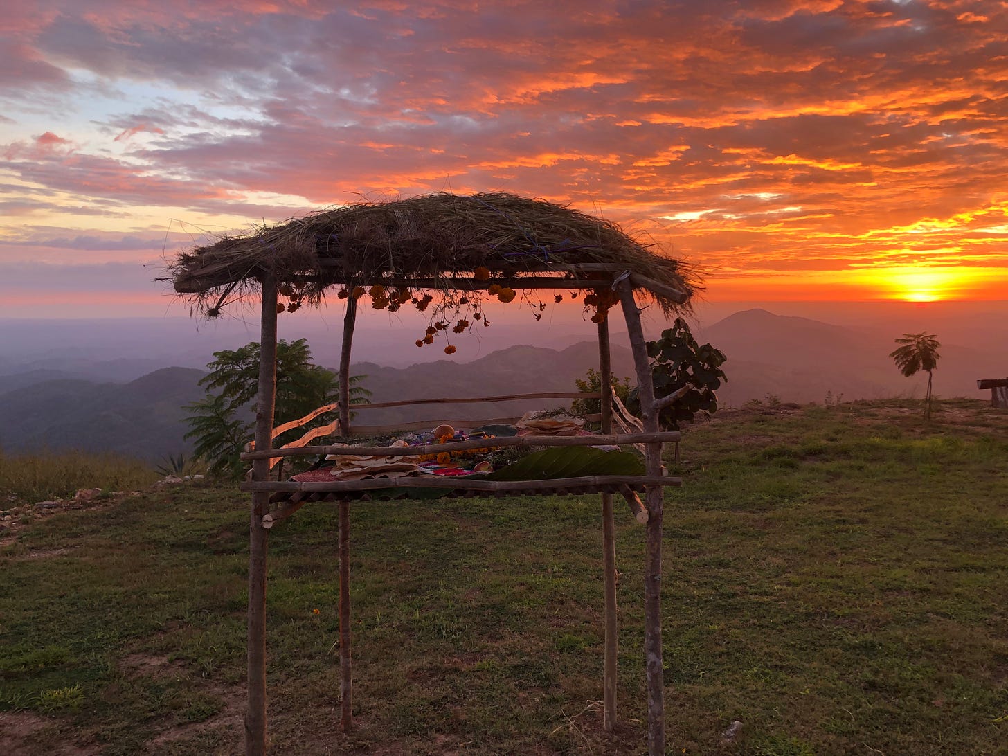 A small structure of reeds with a thatched roof, from which hangs the silhouettes of marigolds. You can just make out the fruit and dishes on the platform beneath. In the background there's a sunset and the outlines of mountains. 