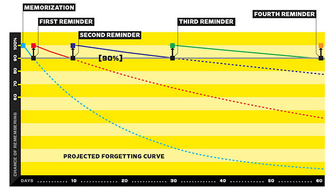 EN Blog What is the forgetting curve and how to fight it