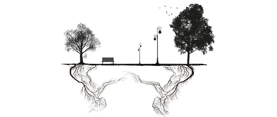 Mycorrhizal networks: what exactly is the wood-wide web? © Tidy Designs