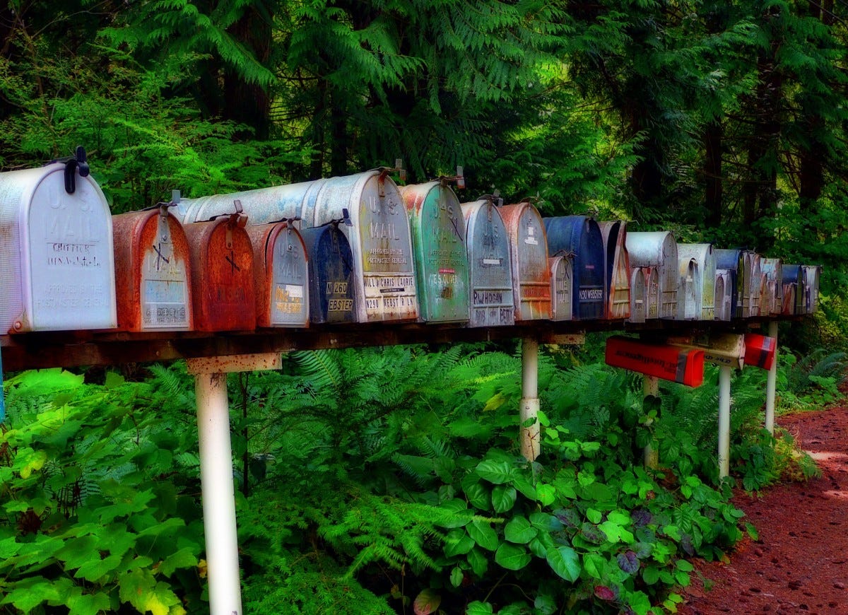 tree, flower, jungle, usa, garden, mailbox, postal, letters, postbox, service, traditional, delivery, rural area, mails, postman, outdoor structure, packets, snail mail