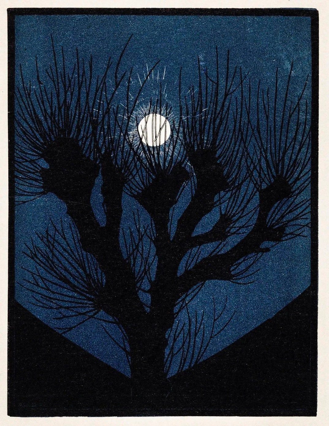 A dark midnight blue sky with a leafless polled tree with a bright full moon shining through the branches