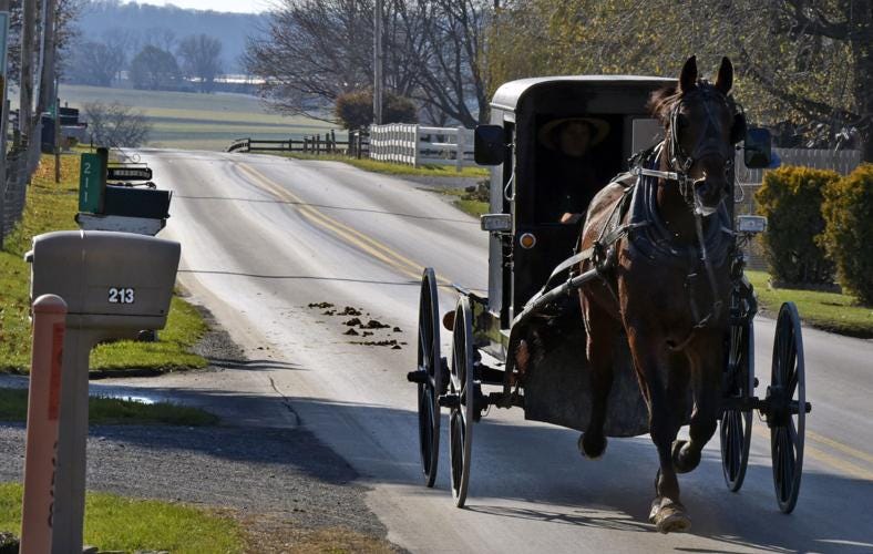 How 'bout them road apples: Why are horse owners not responsible for  cleaning up Lancaster County roads? [We the People report] | Local News |  lancasteronline.com