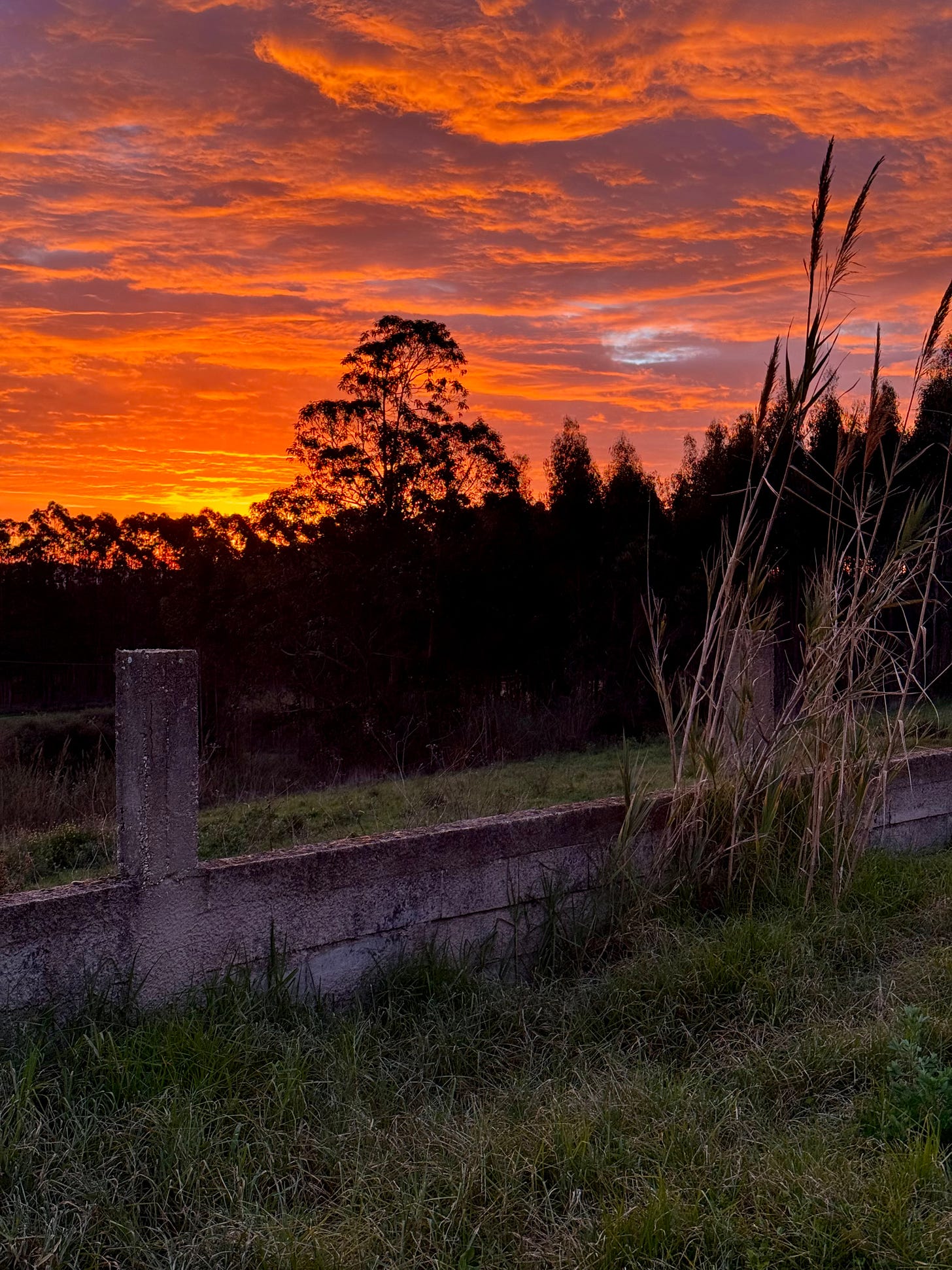 Orange, blue and yellow sunrise over a rural field in Portugal.