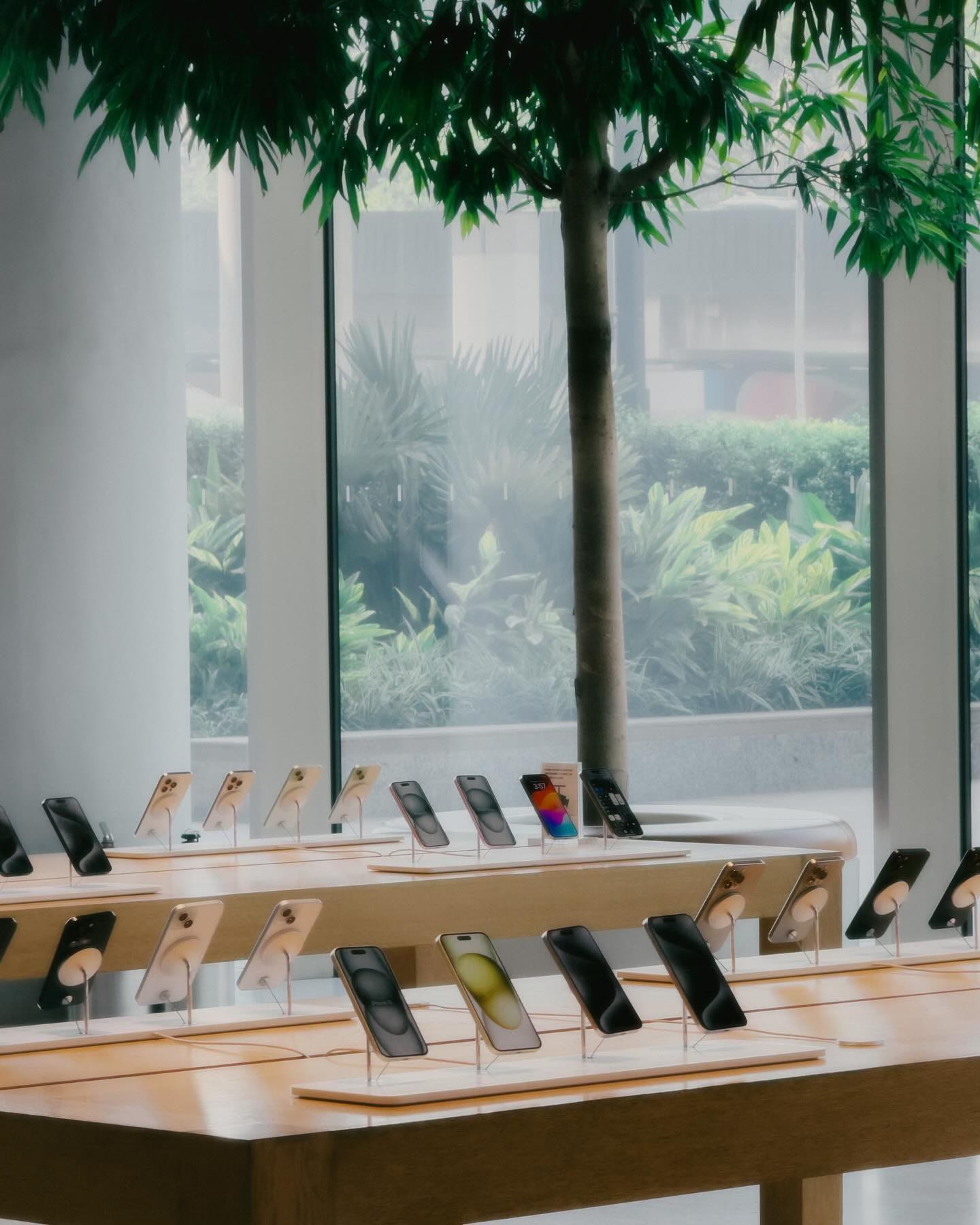 Tables filled with iPhones inside Apple BKC. Beyond the windows are lush plants.