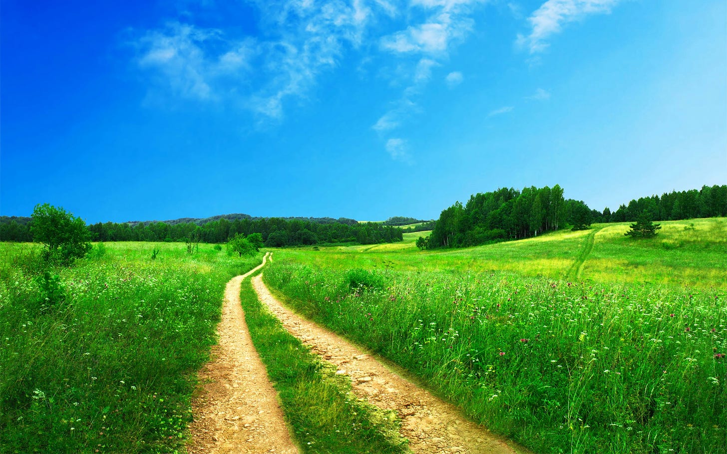 dirt path through green field below blue sky