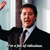 Gif of Alan Shore from Boston Legal, hamd raised, saying "I'm a fan of ridiculous"