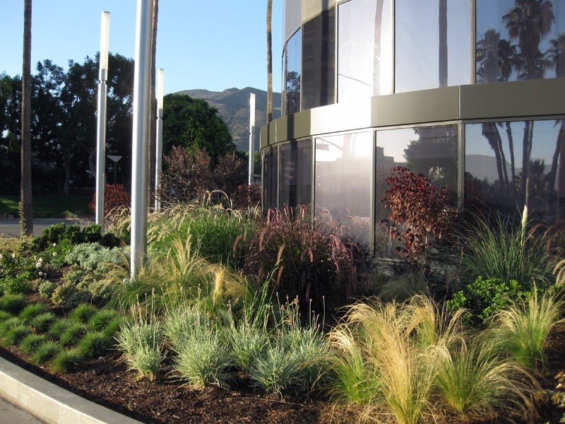 11 Commercial Landscaping Trends You May Have Missed :>)