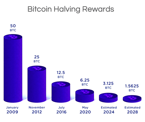 BITCOIN HALVING. The Bitcoin Halving Trend | by Motadegbe Adeyemo | Medium