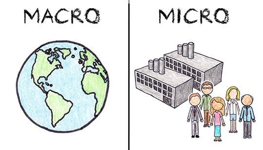 Understanding micro and macro economics.