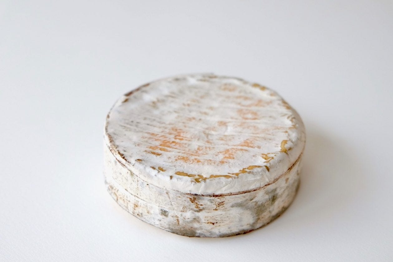 Jasper Hill Farm Harbison cheese
