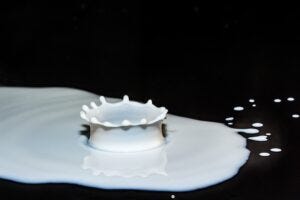 Splashing milk drops. Pixabay