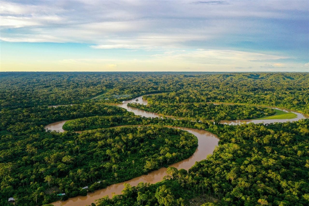 Amazonas al límite, 10 amenazas que demuestran que corre un grave peligro