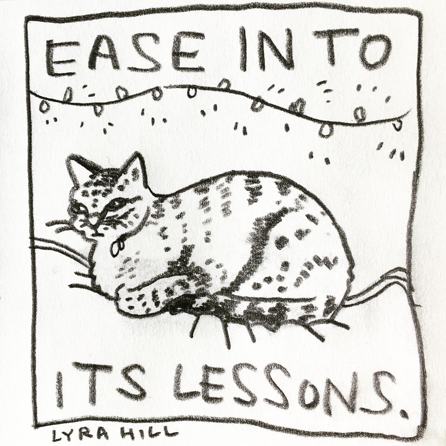 Panel 6: ease into its lessons. Image: the soft striped cat is curled in a ball looking at you. Christmas lights arc overhead.