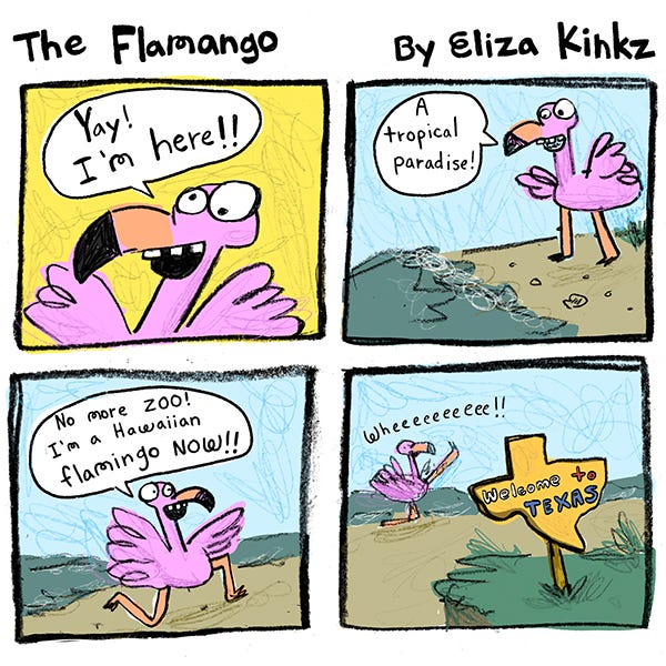 A pink flamingo called Flamango is excited. They stand next to a grey green wave on a sandy shore and say, “No more zoo! I’m a Hawaiian flamingo now!” Flamingo runs along saying, “Wheeee!” In front of the beach is a sign shaped like the state of Texas that says “Welcome to Texas.”