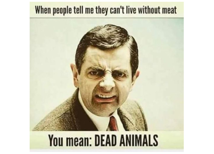 When people say they can't live without meat, they're justifying the exploitation of animals. Let's call it what it is: a choice to eat dead animals, not a necessity. Compassionate alternatives exist!