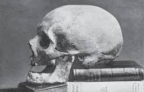 CABINET / The Fate of His Bones