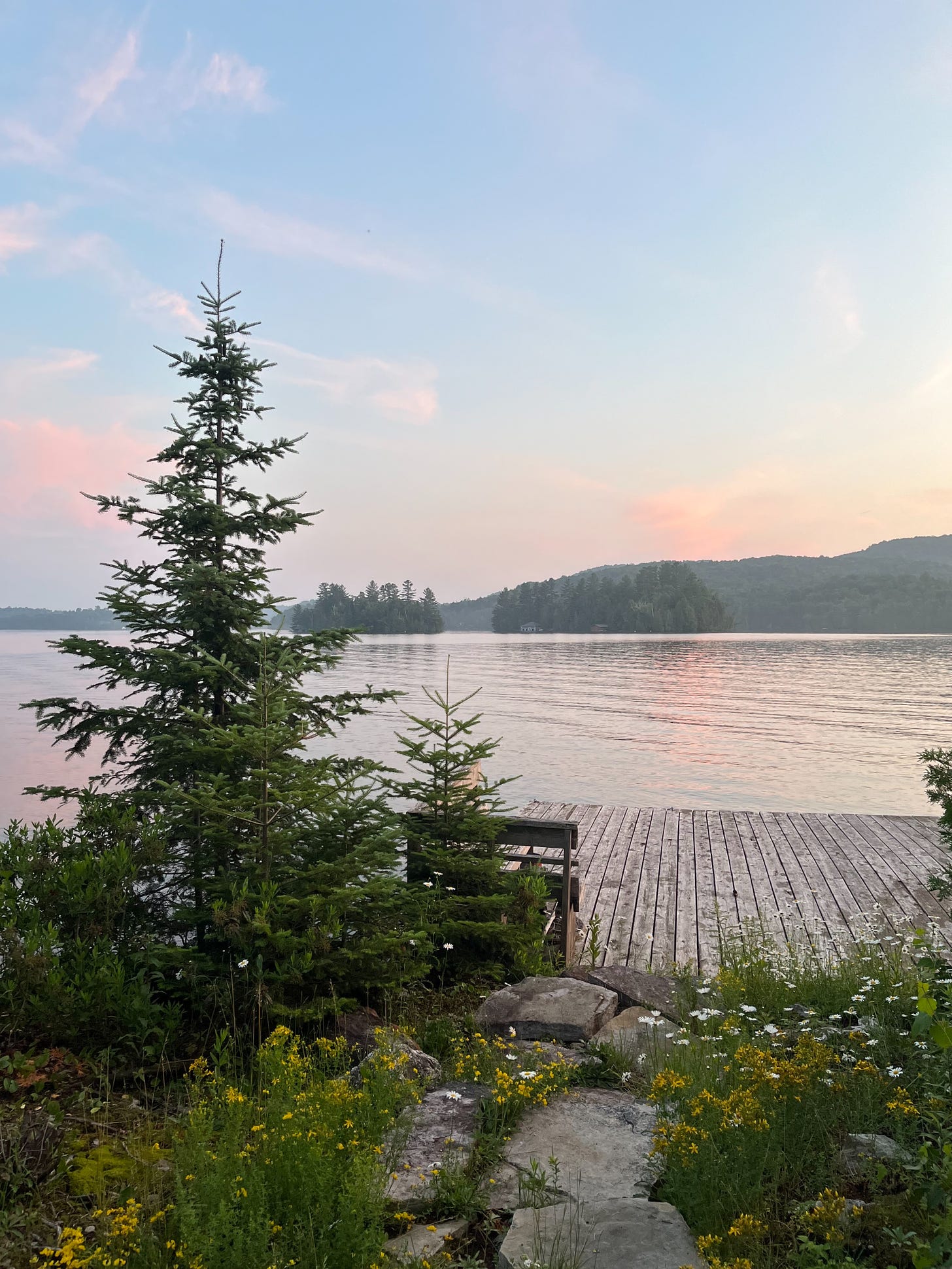 The view from the base of a wooden dock on a large, calm lake after sunset. There are wildflowers at the base of the dock and small fir trees to its left. The sky is blue with pink clouds over the opposite side of the lake.