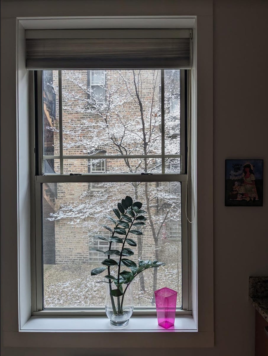 Nathalie's kitchen window shows a snowy morning. The snow sits lightly on the one tree outside and on the grassy ground. The window sill has a clear vase with an abundant zz plant in it. Next to it is an empty purple plastic vase
