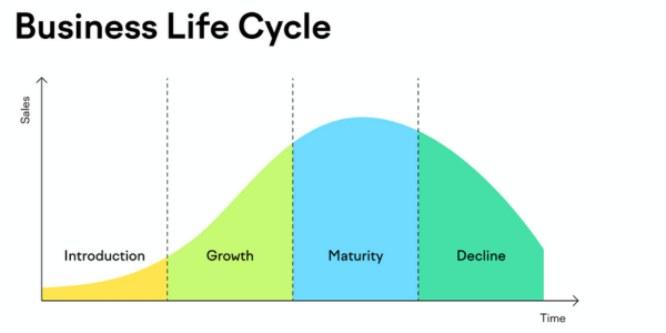 Guide to Understanding and Navigating the Business Life Cycle | by Brett  Slater🌟slatercoach.com🌟Business Coach | Medium