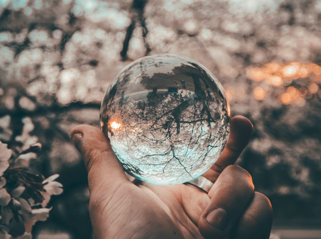 person holding round glass ball