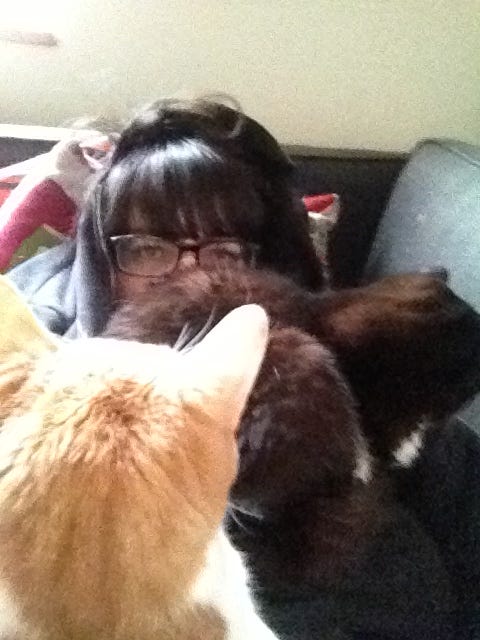 A photograph of a dark-haired women wearing glasses and a hoodie. She is lying on a couch and mostly obscured by two cats on top of her.