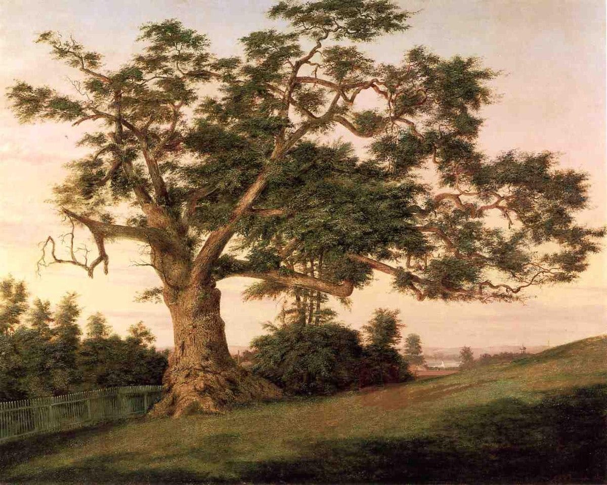 Charter Oak - Wikipedia