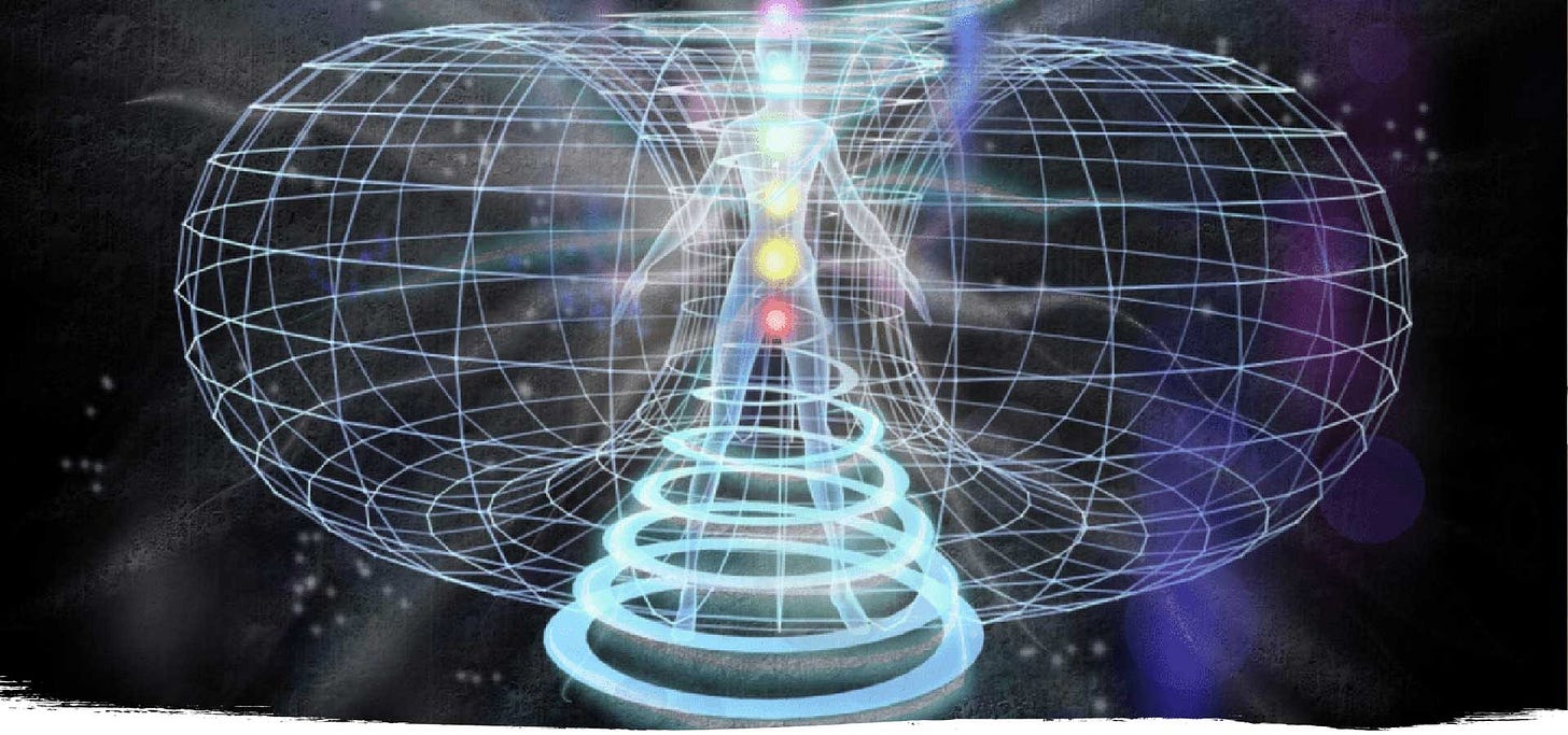 Morphic fields: What are & Reading from Morphic fields method