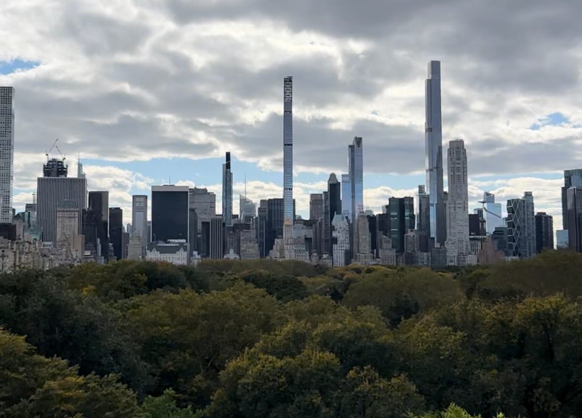 The New York City skyline looms over the trees of Central Park
