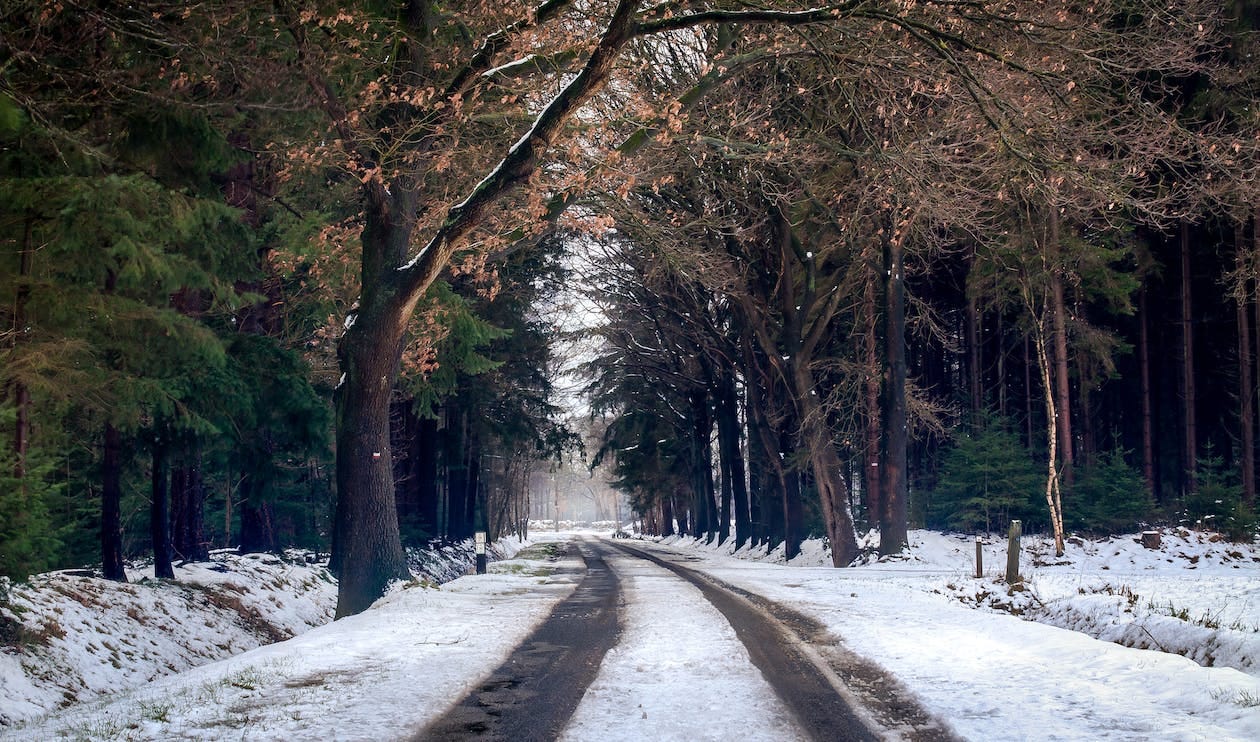 Free Photography of Road during Winter Season Stock Photo