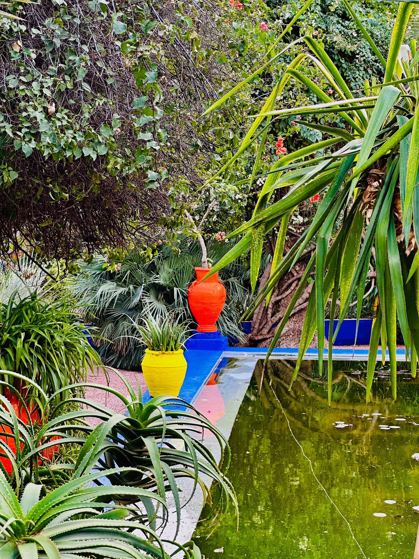 Jardin Majorelle, Marrakesh, Morocco 
