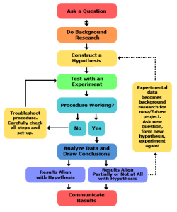 2013-updated_scientific-method-steps_v6_noheader