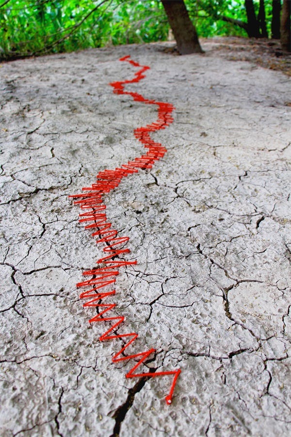 Photo of an art installation in cracked, dry Texas soil, simulating surgical stitches across the parched cracked earth