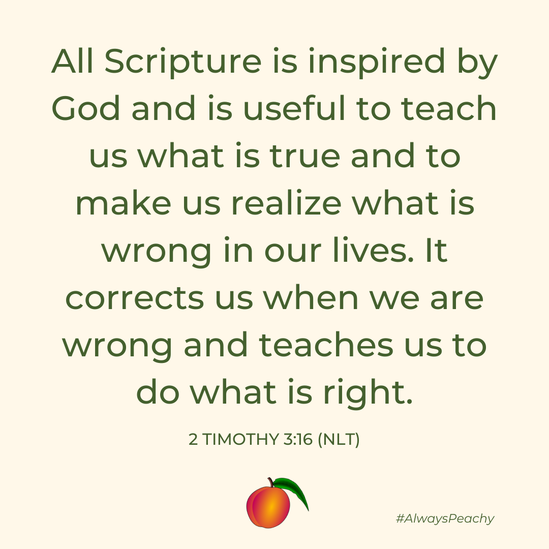 All Scripture is inspired by God and is useful to teach us what is true and to make us realize what is wrong in our lives. It corrects us when we are wrong and teaches us to do what is right. (2 Timothy 3:16)