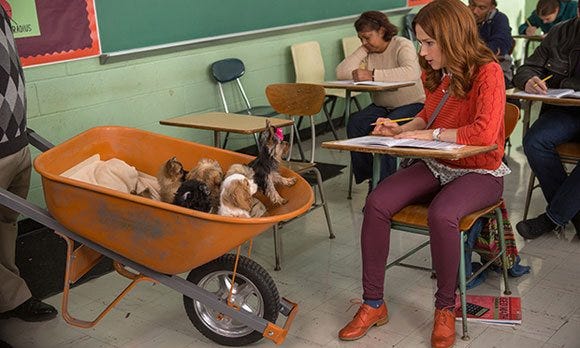 unbreakable kimmy schmidt wheelbarrow of puppies