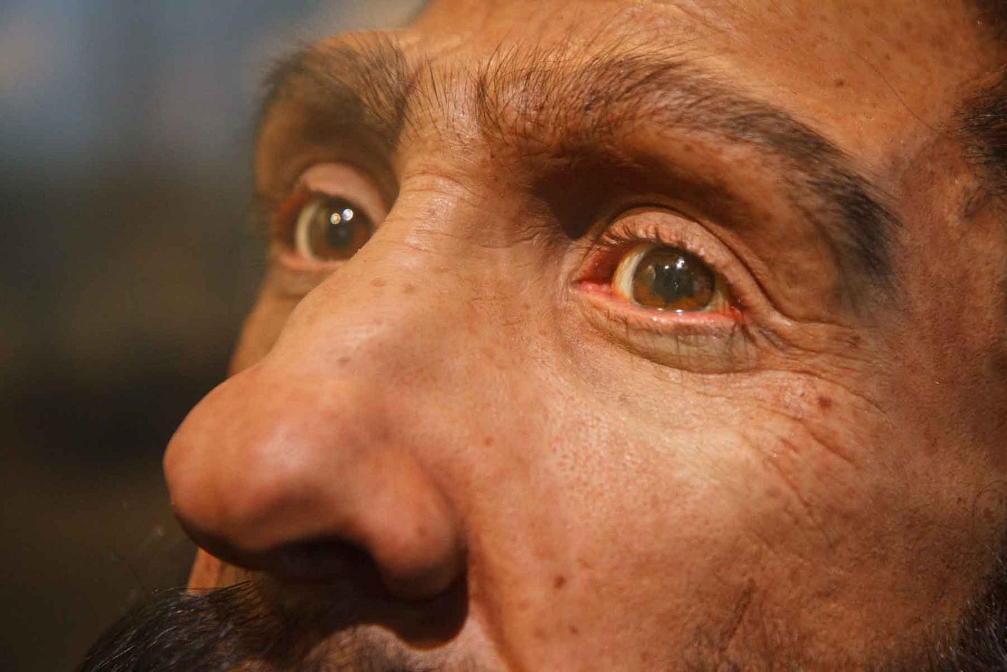 A closeup view of a Neandertal's face with light pigment and brown eyes and hair A closeup view of a Neandertal's face with light pigment and brown eyes and hair
