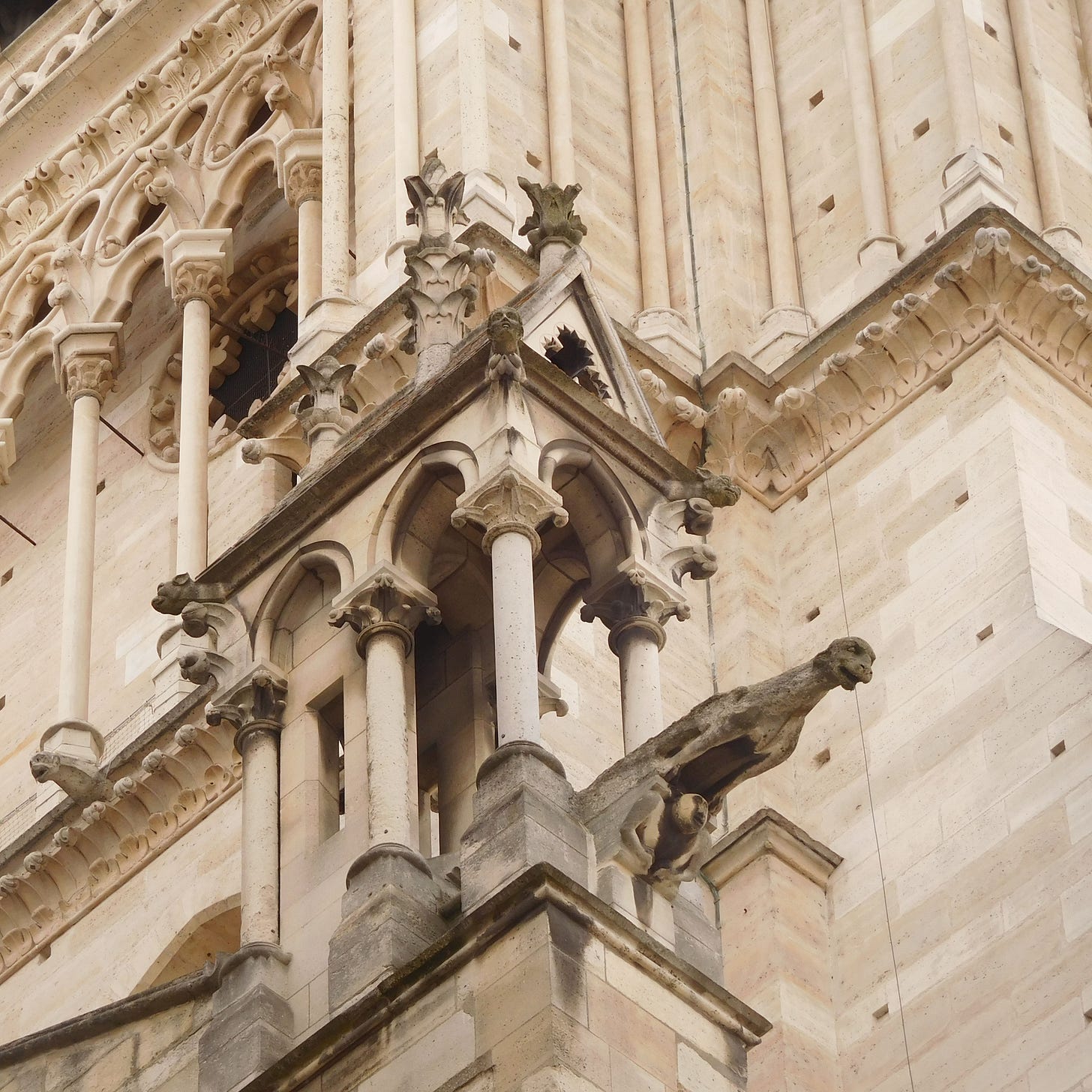 Close-up of Notre Dame showing detailed stonework and gargoyle 