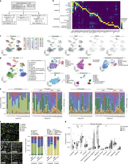 Single-nucleus and spatial transcriptome profiling of pancreatic cancer  identifies multicellular dynamics associated with neoadjuvant treatment |  Nature Genetics