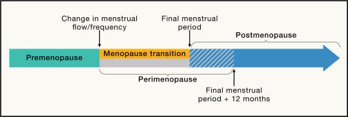 cell, menopause, stages