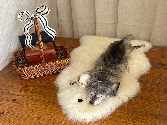 Pictured: Sweetums at her 'reunion' with Smith-Boldt