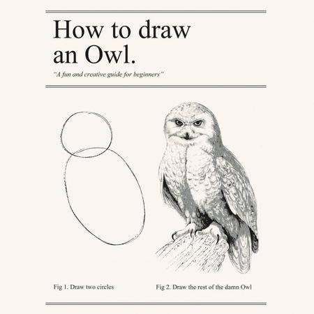 Funny on Sunday: How to draw an owl? – From experience to meaning…