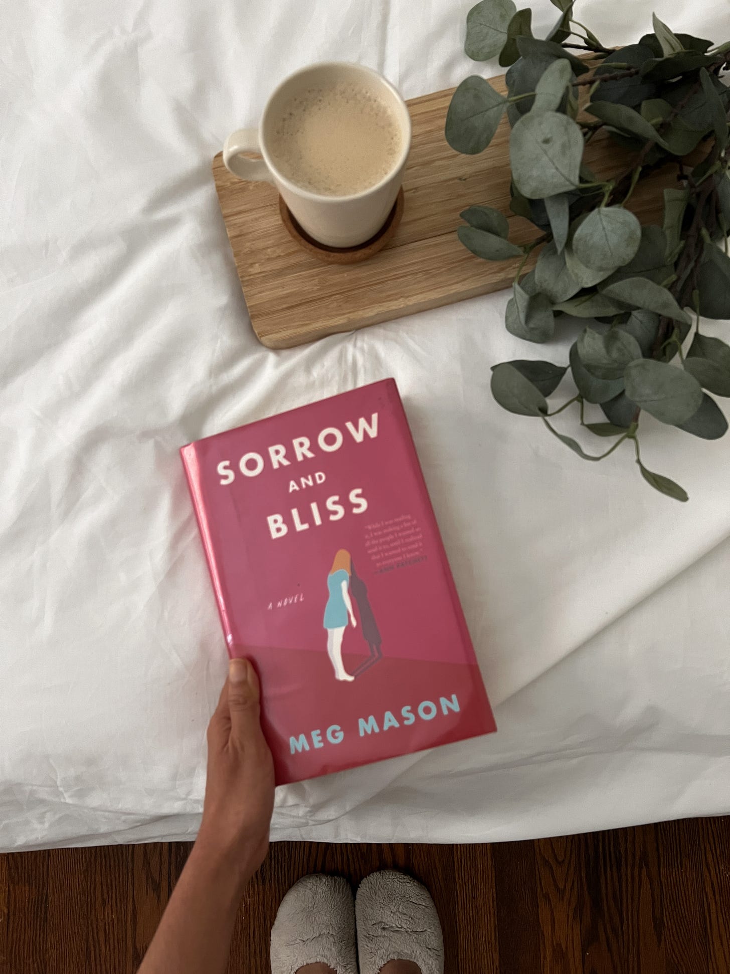 Sorrow and bliss by Meg Mason