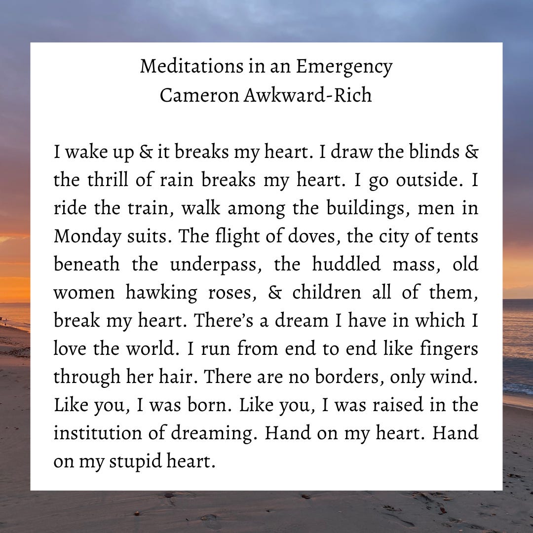 Meditations in an Emergency by Cameron Awkward-Rich  I wake up & it breaks my heart. I draw the blinds & the thrill of rain breaks my heart. I go outside. I ride the train, walk among the buildings, men in Monday suits. The flight of doves, the city of tents beneath the underpass, the huddled mass, old women hawking roses, & children all of them, break my heart. There’s a dream I have in which I love the world. I run from end to end like fingers through her hair. There are no borders, only wind. Like you, I was born. Like you, I was raised in the institution of dreaming. Hand on my heart. Hand on my stupid heart.