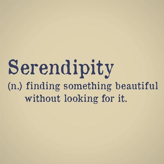 Serendipities. You arent thinking of “settling down”… | by Lakshmi Thampi |  Medium